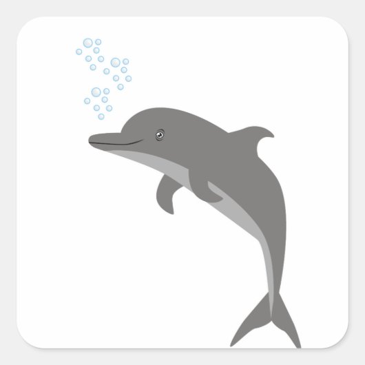Sticker Carré Dauphin (Devant)