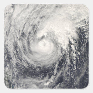 Sticker Carré Dauphin d'ouragan en mer philippine