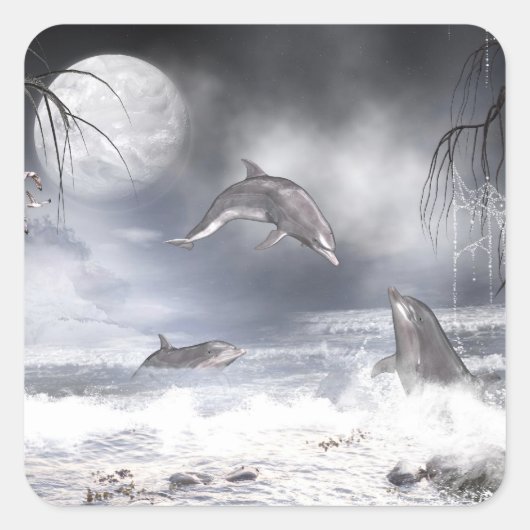 Sticker Carré Dauphins joueurs (Devant)