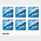 Sticker Carré Dauphins sous-marins (Feuille)