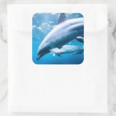 Sticker Carré Dauphins sous-marins (Sac)