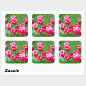 Sticker Carré De mignonnes tulipes écarlate dans le jardin (Feuille)