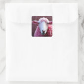 Sticker Carré de mouton rose (Sac)