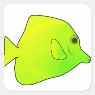 Sticker Carré de poisson