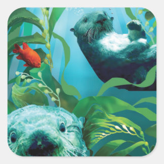Sticker Carré de Sea Otter's Garden
