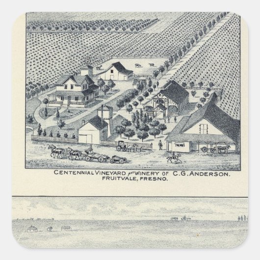 Sticker Carré Deardorff et vignobles centennaux, la Californie (Devant)