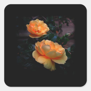 Sticker Carré Deep Yellow - Roses oranges, sur Black.Personnalis