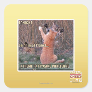 Sticker Carré Défi Xtreme PattyCake