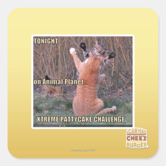 Sticker Carré Défi Xtreme PattyCake (Devant)