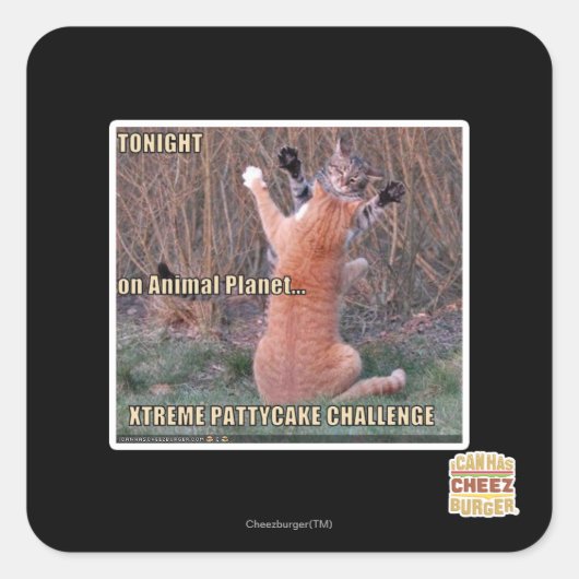 Sticker Carré Défi Xtreme PattyCake (Devant)