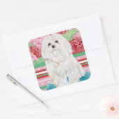 Sticker Carré Della Rose Maltese (Enveloppe)