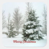 Sticker Carré Des arbres à neige, Joyeux Noël, (Devant)