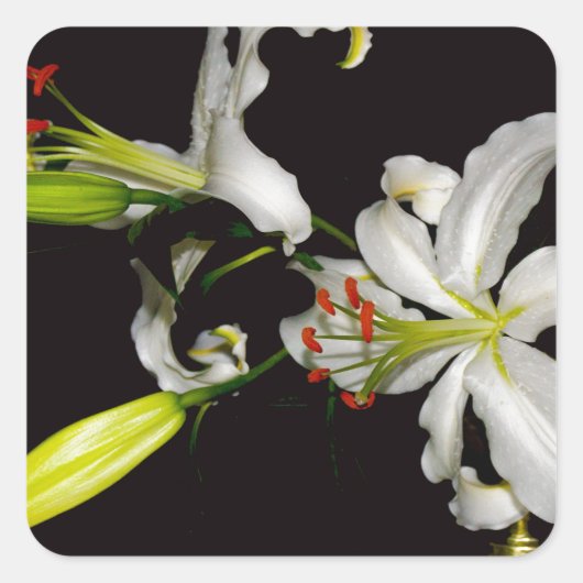 Sticker Carré Design irlandais - Collection de laiton et de fleu (Devant)