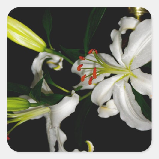 Sticker Carré Design irlandais - La collection Flower (Devant)