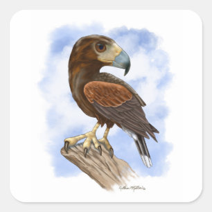 Sticker Carré Dessin animé de Buse de Harris en vigie	