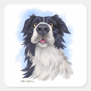 Sticker Carré Dessin animé d'un Border Collie amusant