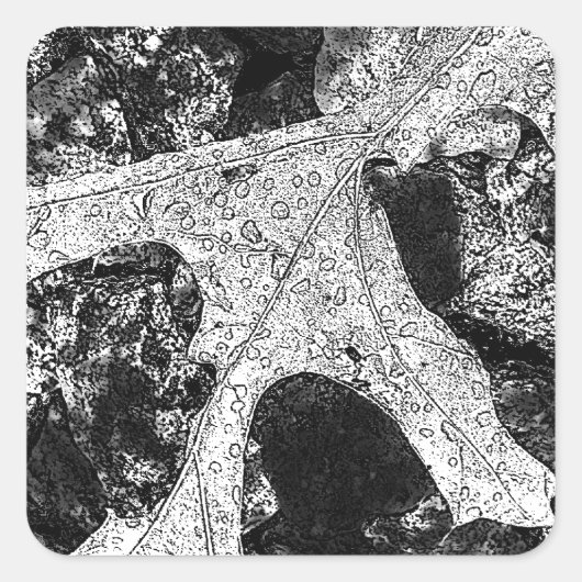 Sticker Carré Dessin esquisse feuille (Devant)