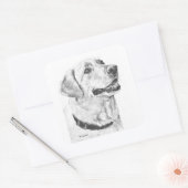 Sticker Carré Dessin Labrador Retriever (Enveloppe)