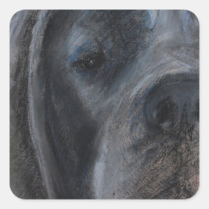 Sticker Carré Dessin pastel Grand Danois bleu