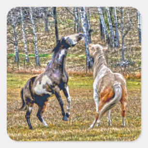 Sticker Carré Deux Chevaux de Peinture Pinto Jouant Équine Art D