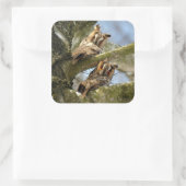 Sticker Carré Deux Chouettes dans les Bois, oiseaux, faune Carré (Sac)