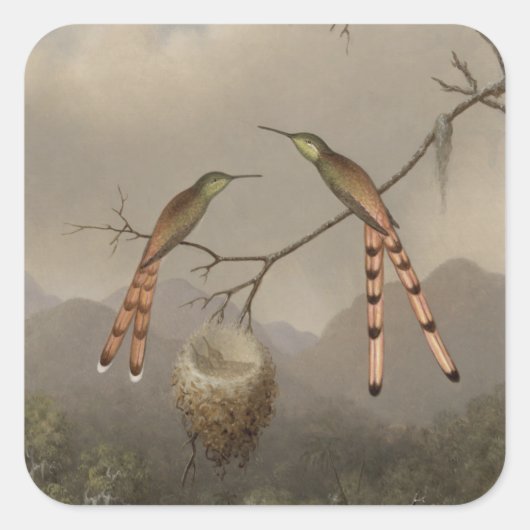 Sticker Carré Deux colibris avec leurs jeunes (Devant)