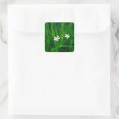 Sticker Carré deux fleurs blanches sur une prairie verte (Sac)