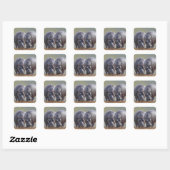 Sticker Carré Deux hippopotames (Feuille)