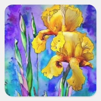 Sticker Carré Deux Irises Jaunes en Aquarelle