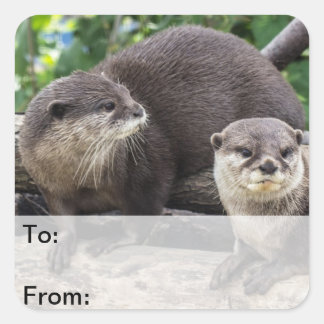 Sticker Carré Deux Mignonnes loutres | Otter