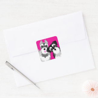 Sticker Carré Deux mignons Schnauzers