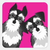 Sticker Carré Deux mignons Schnauzers (Devant)