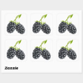 Sticker Carré Deux mûres sur tige longue (Feuille)