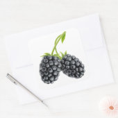 Sticker Carré Deux mûres sur tige longue (Enveloppe)