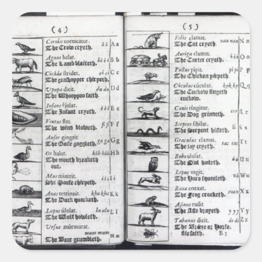 Sticker Carré Deux pages de 'Orbis Sensualium Pictus' (Devant)