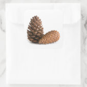 Sticker Carré Deux pinecones (Sac)