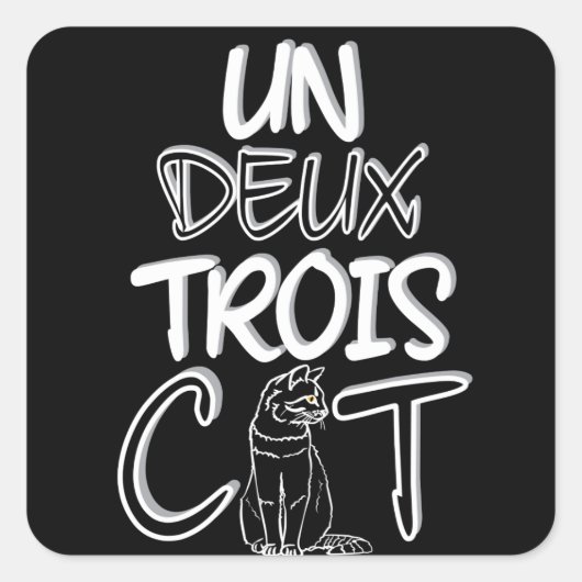 Sticker Carré Deux Trois Cat Funny French (Devant)