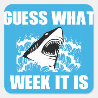 Devine Quelle Semaine C'Est Drôle Requin