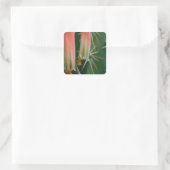 Sticker Carré Dew sur Aloe Bloom (Sac)