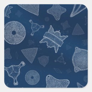 Sticker Carré Diatomées - vie marine microscopique