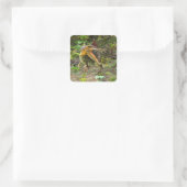 Sticker Carré Dinosaure Spinosaurus (Sac)