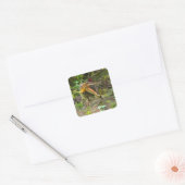 Sticker Carré Dinosaure Spinosaurus (Enveloppe)