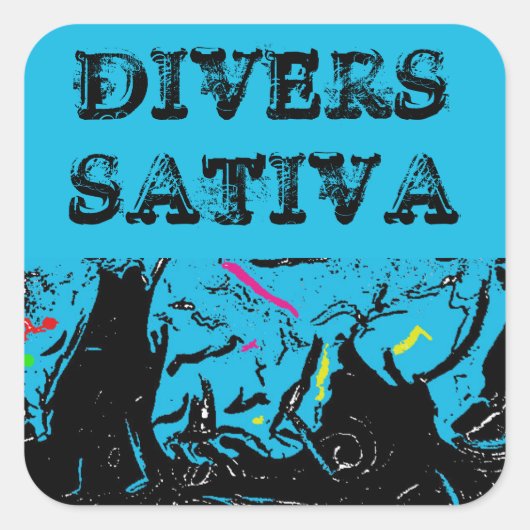 STICKER CARRÉ DIVERS SATIVA (Devant)