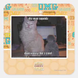 Sticker Carré diz mai squidz