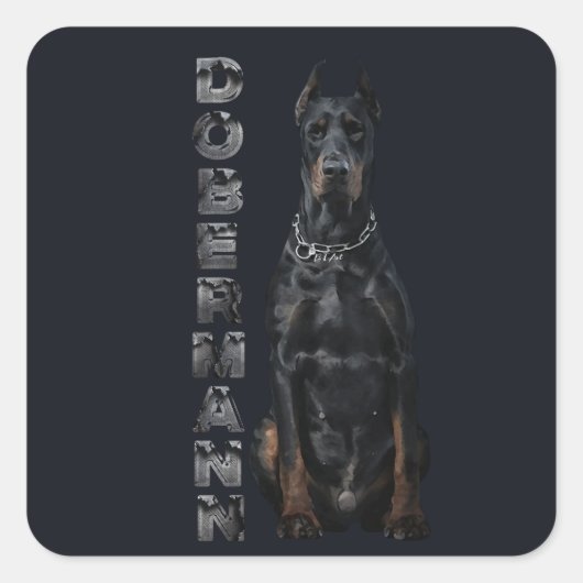 Sticker Carré Doberman Pinscher (Devant)
