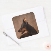 Sticker Carré Dobermann - Doberman Pinscher (Enveloppe)