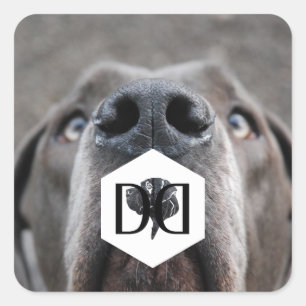 Sticker Carré Doggenzucht Aufkleber