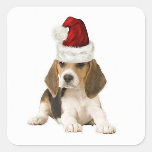 Sticker Carré Dogs~Original Ditzy Sticker~Beagle~Christmas (Devant)