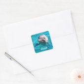 Sticker Carré Dolphin dans Blue Water Photo (Enveloppe)