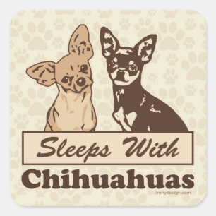 Sticker Carré Dormir au Chihuahuas